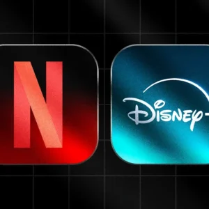 Combo Netflix + Disney+ Premium